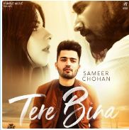 download Tere-Bina Sameer Chohan mp3